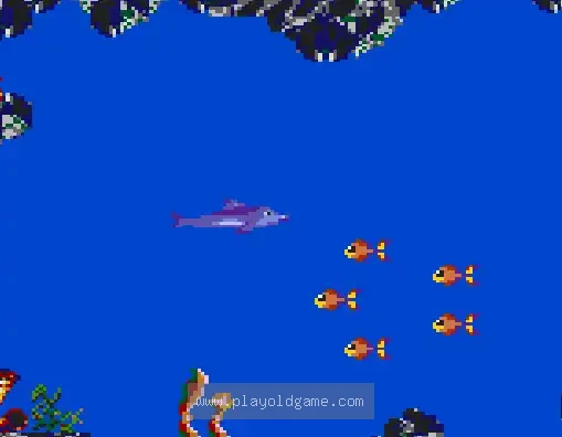 [GG]小海豚2