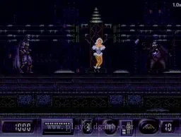 [MD]蝙蝠侠R