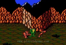 [NES]忍者蛙