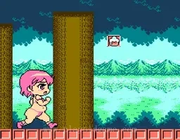 [NES]减肥大作战