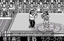 Shin Nihon Pro Wrestling - Toukon Retsuden 截图2
