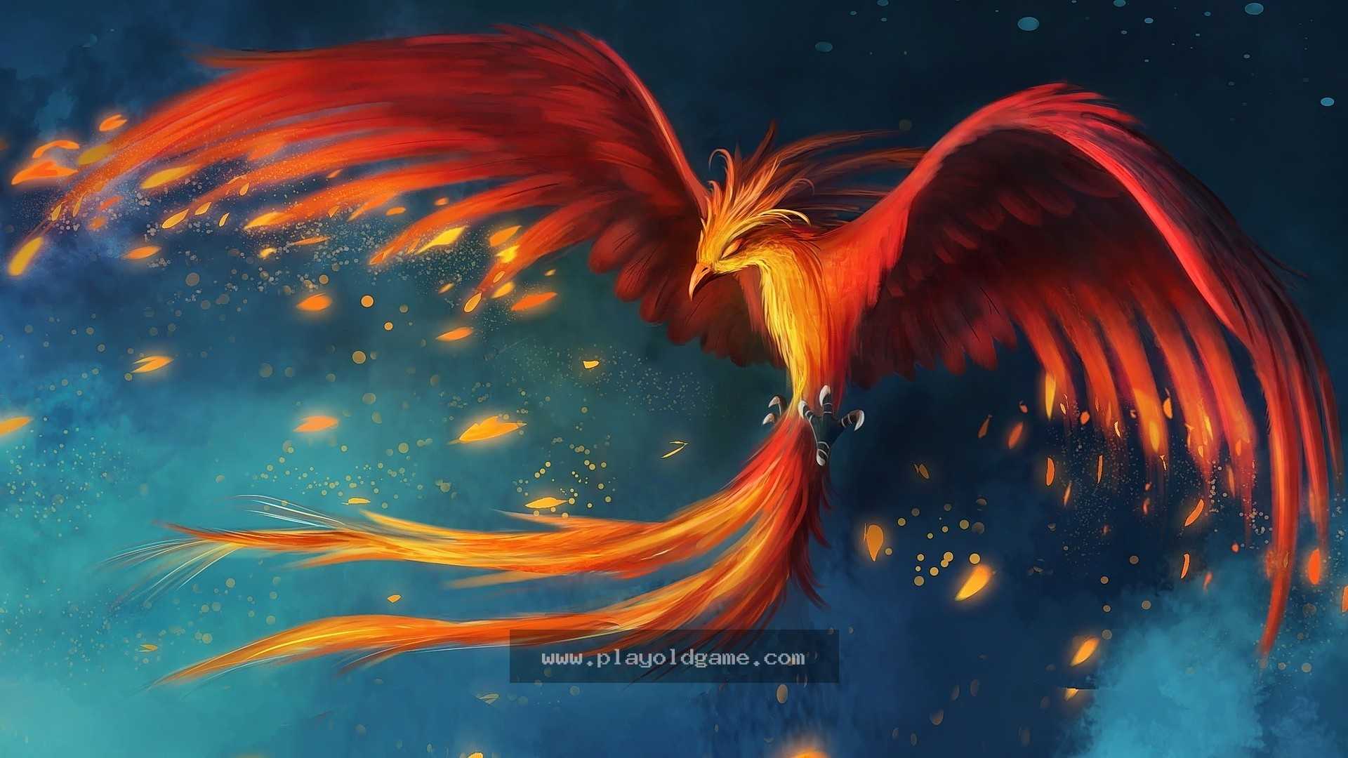 condor 截图4