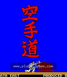 karatedo 截图1