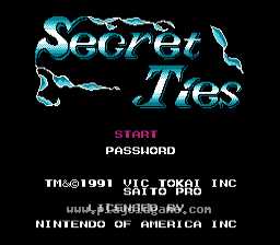 [NES]神秘之结(美)