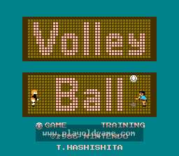 [NES]排球