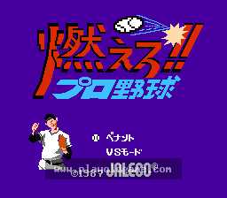 [NES]满贯全垒打
